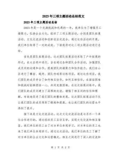 2023年三项主题活动总结范文