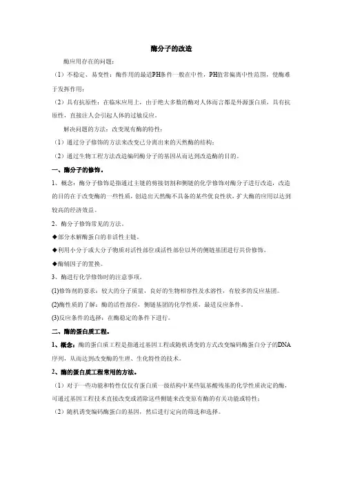 酶分子的改造