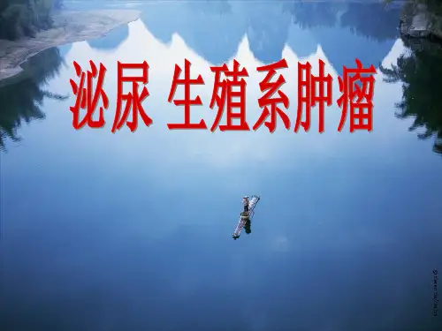泌尿男性生殖系统肿瘤