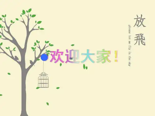 整经简介