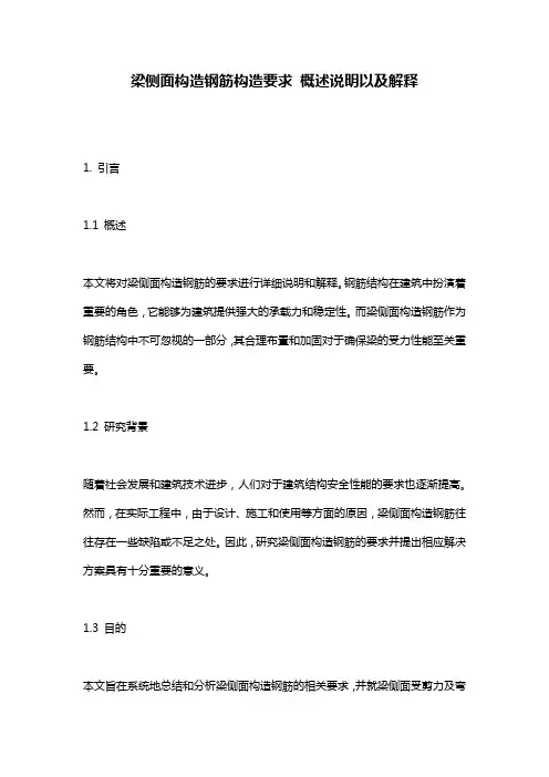 梁侧面构造钢筋构造要求_概述说明以及解释