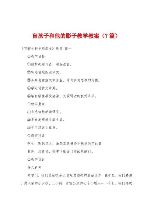 盲孩子和他的影子教学教案(7篇)