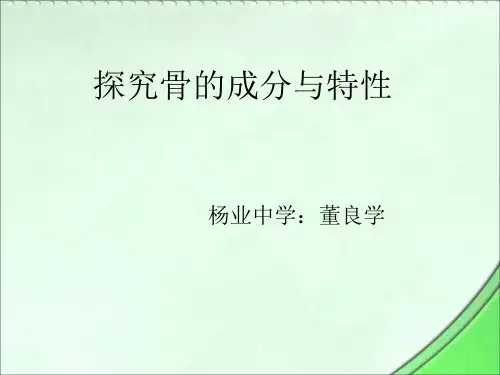 探究骨的成分与特性