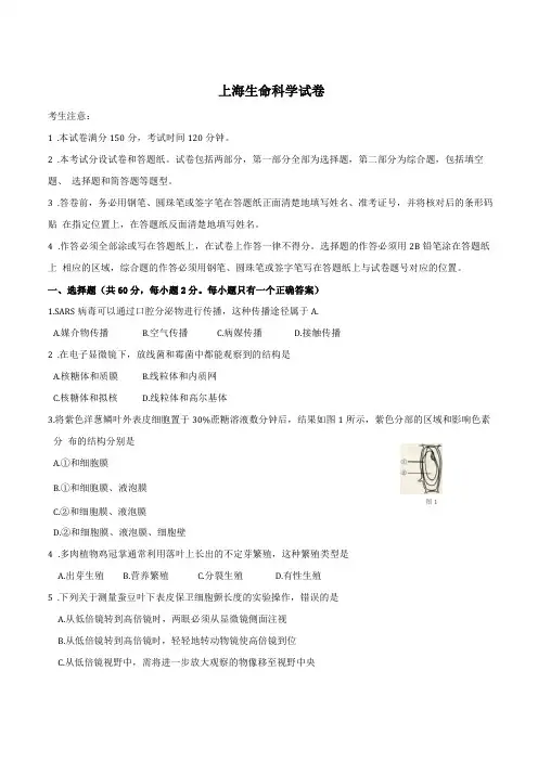 上海生命科学试卷