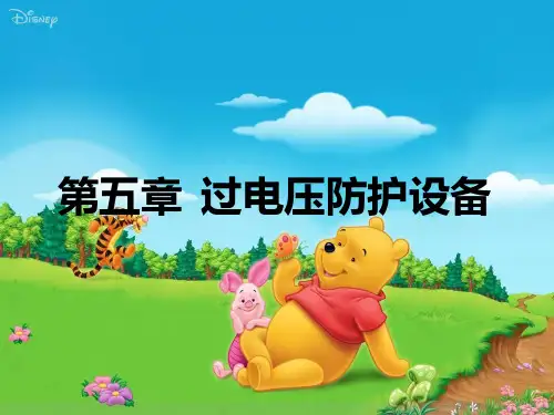 过电压防护设备培训课件