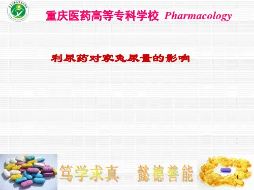 实验利尿药对家兔尿量的影响(精)