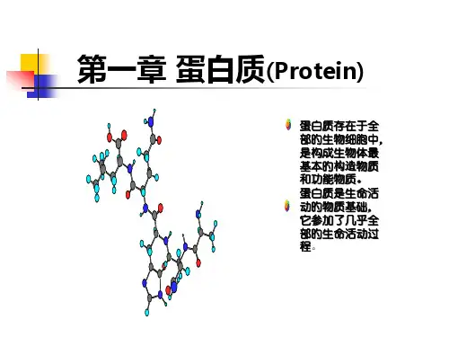 蛋白质-专题知识讲座