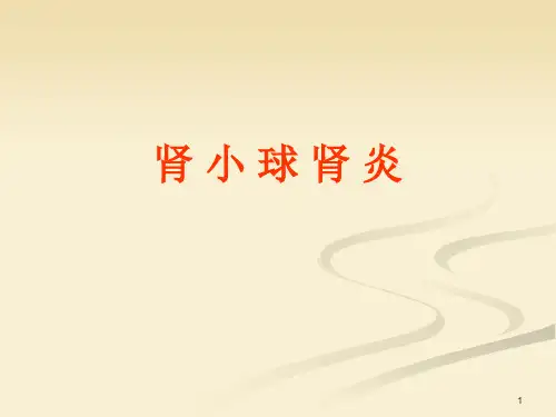 肾小球肾炎ppt课件
