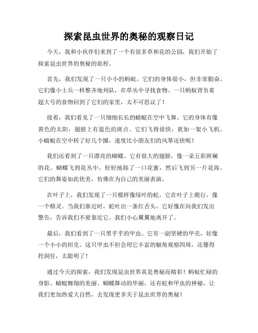 小学三年级作文探索昆虫世界的奥秘的观察日记