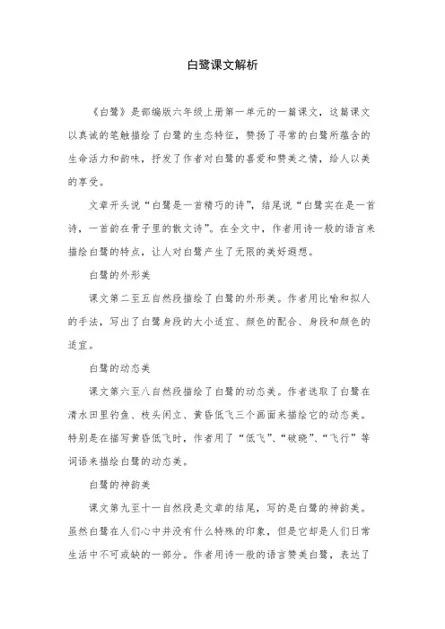 白鹭课文解析