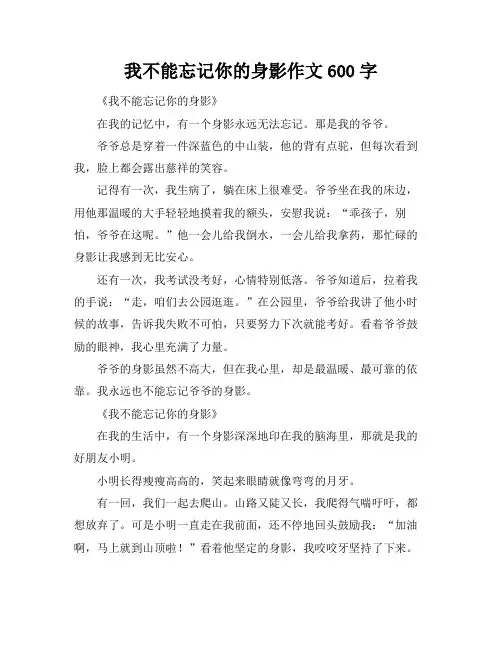 我不能忘记你的身影作文600字