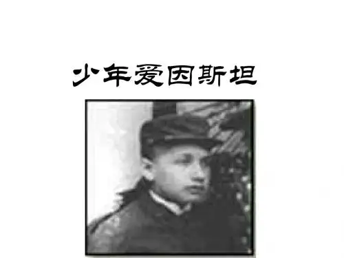 九年级语文少年爱因斯坦(新201907)