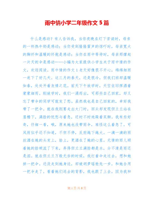 雨中情小学二年级作文5篇
