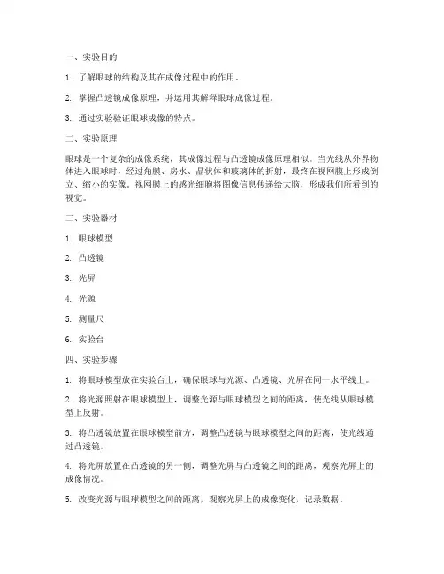 探究眼球成像实验报告