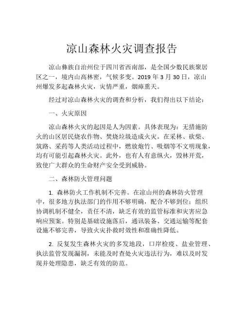 凉山森林火灾调查报告