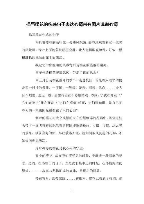 描写樱花的伤感句子表达心情带有图片说说心情