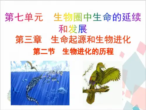 人教版初中生物《生物进化的历程》_课件