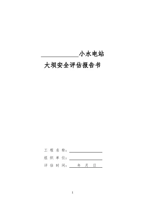 大坝安全评估报告书
