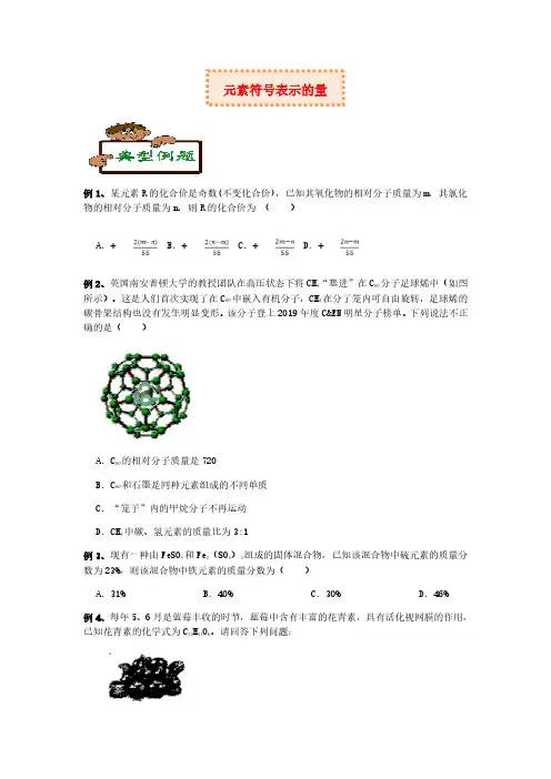浙江省八年级下科学含答案：元素符号表示的量