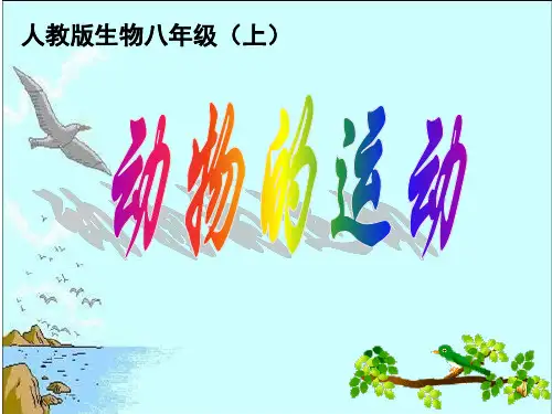 第2章第1节动物的运动(人教版)