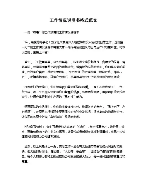 工作情况说明书格式范文