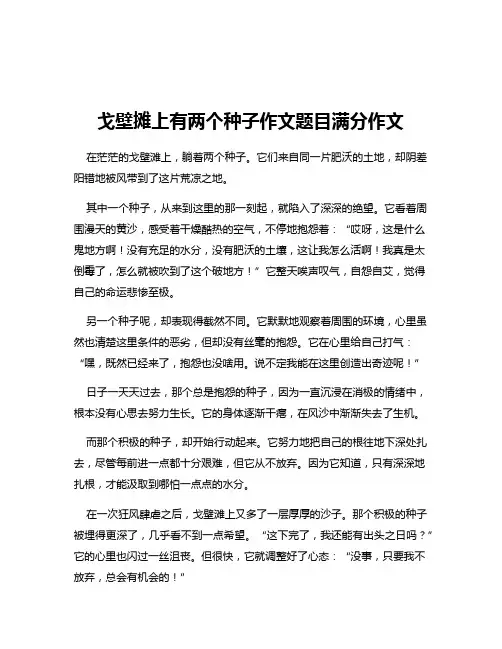 戈壁摊上有两个种子作文题目满分作文
