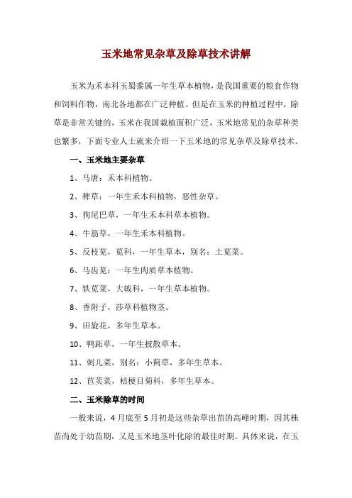 玉米地常见杂草及除草技术讲解