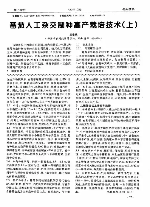 番茄人工杂交制种高产栽培技术(上)