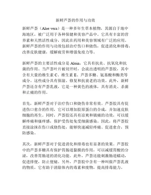 新鲜芦荟的作用与功效