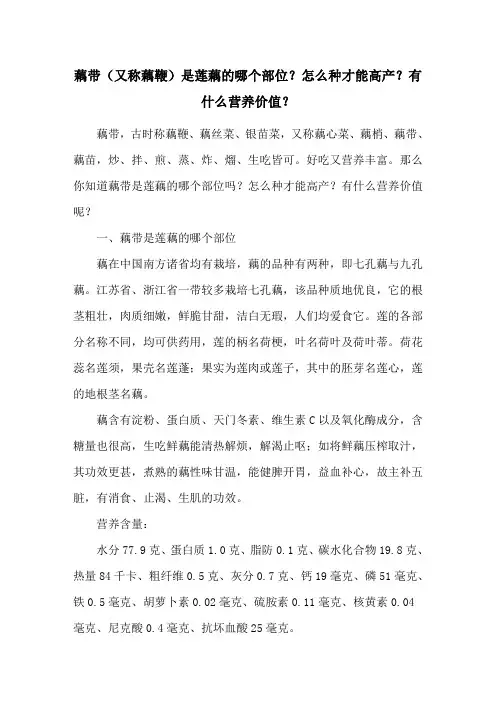 藕带(又称藕鞭)是莲藕的哪个部位？怎么种才能高产？有什么营养价值？