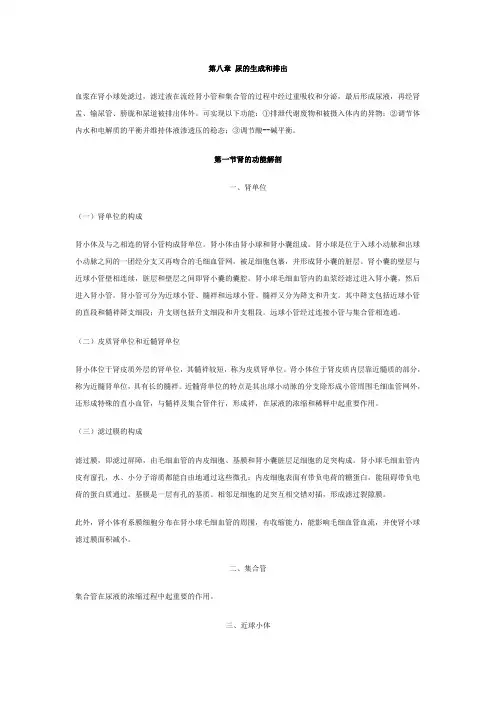 第八章 尿的生成和排出