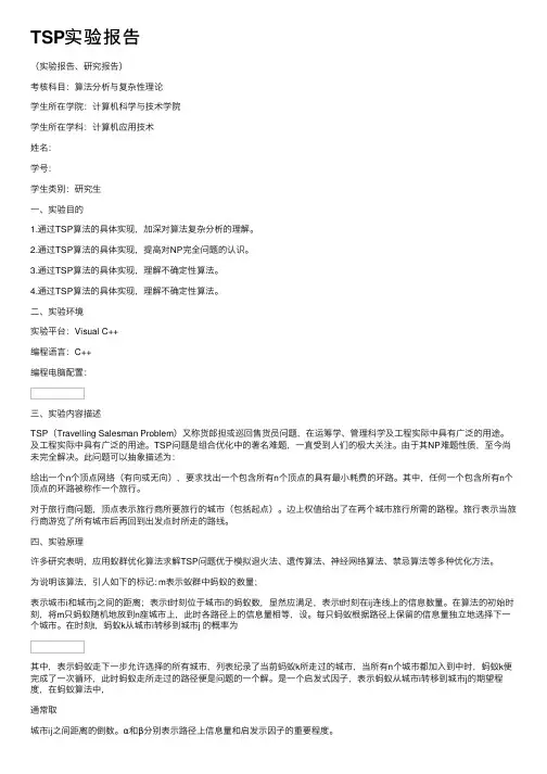 TSP实验报告