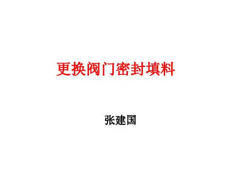 更换阀门密封填料分解