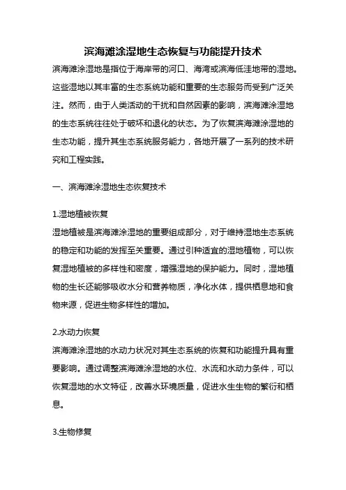 滨海滩涂湿地生态恢复与功能提升技术