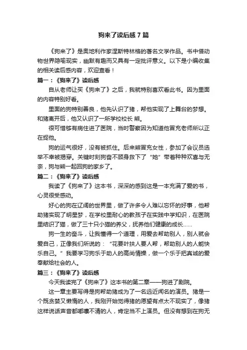 狗来了读后感7篇