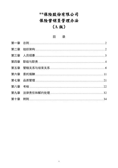 保险公司营销员管理办法