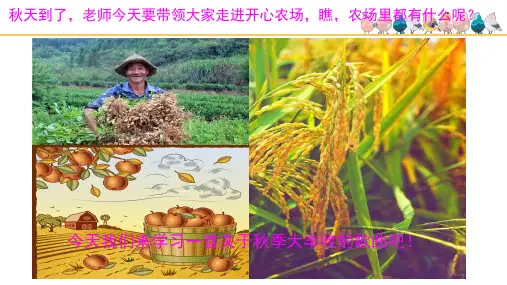 《丰收锣鼓》基于标准的教学课件