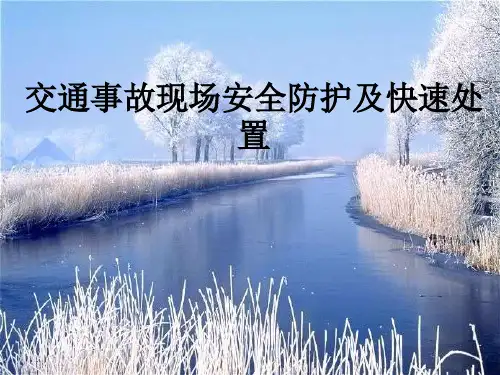 交通事故现场安全防护及快速处置PPT课件