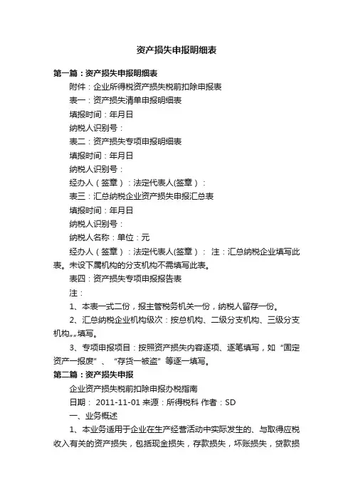 资产损失申报明细表