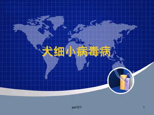 犬细小病毒病ppt课件
