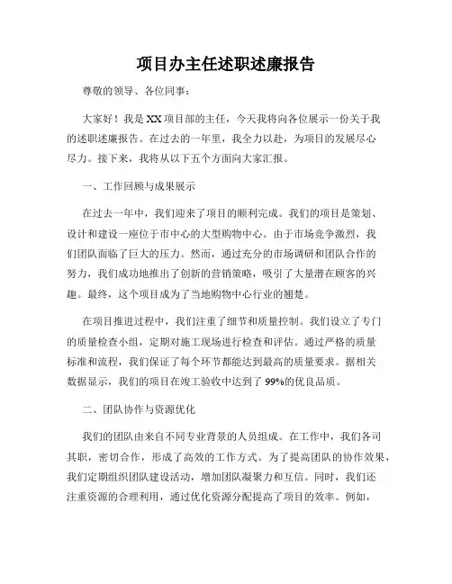 项目办主任述职述廉报告