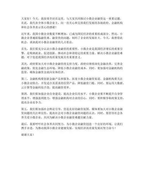 小微企业融资发言稿范文