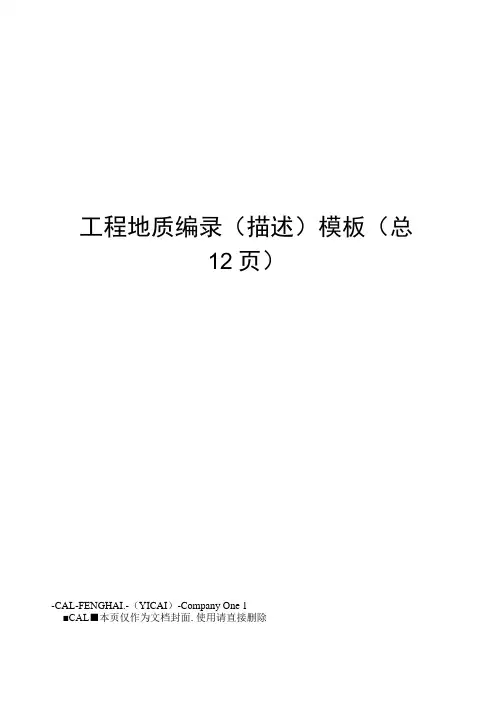工程地质编录模板