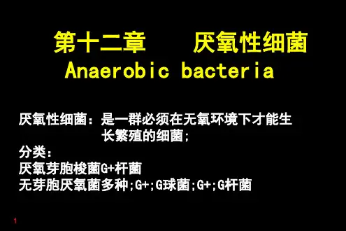 医学微生物学厌氧性细菌