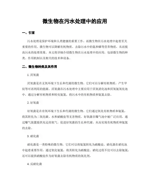 微生物在污水处理中的应用