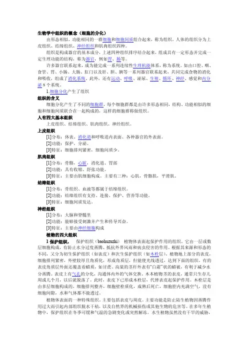 生物学中组织的概念（细胞的分化）