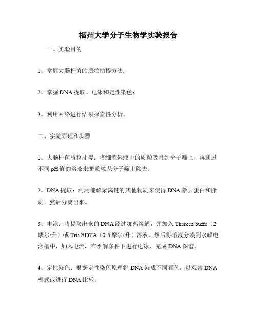 福州大学分子生物学实验报告