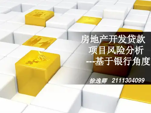房地产开发贷款项目风险分析 PPT