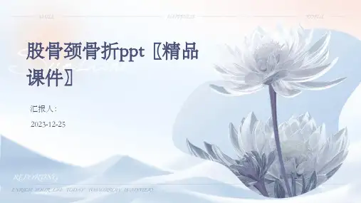 股骨颈骨折ppt〖精品课件〗(模板)