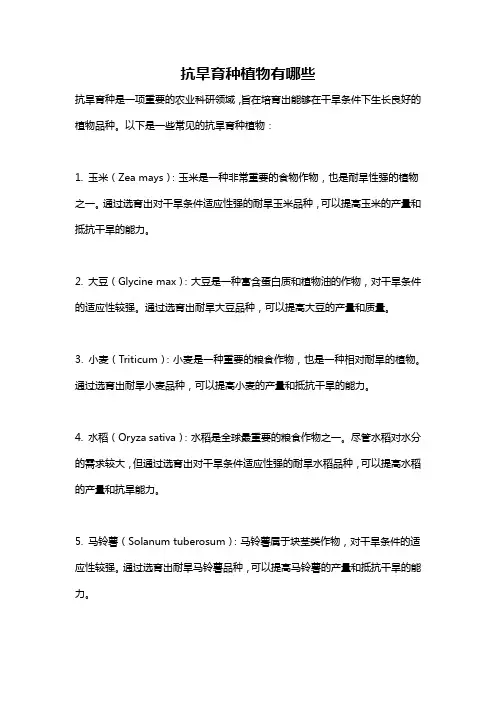 抗旱育种植物有哪些